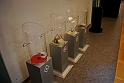 Museo Di Scienze Naturali - Experimenta 54